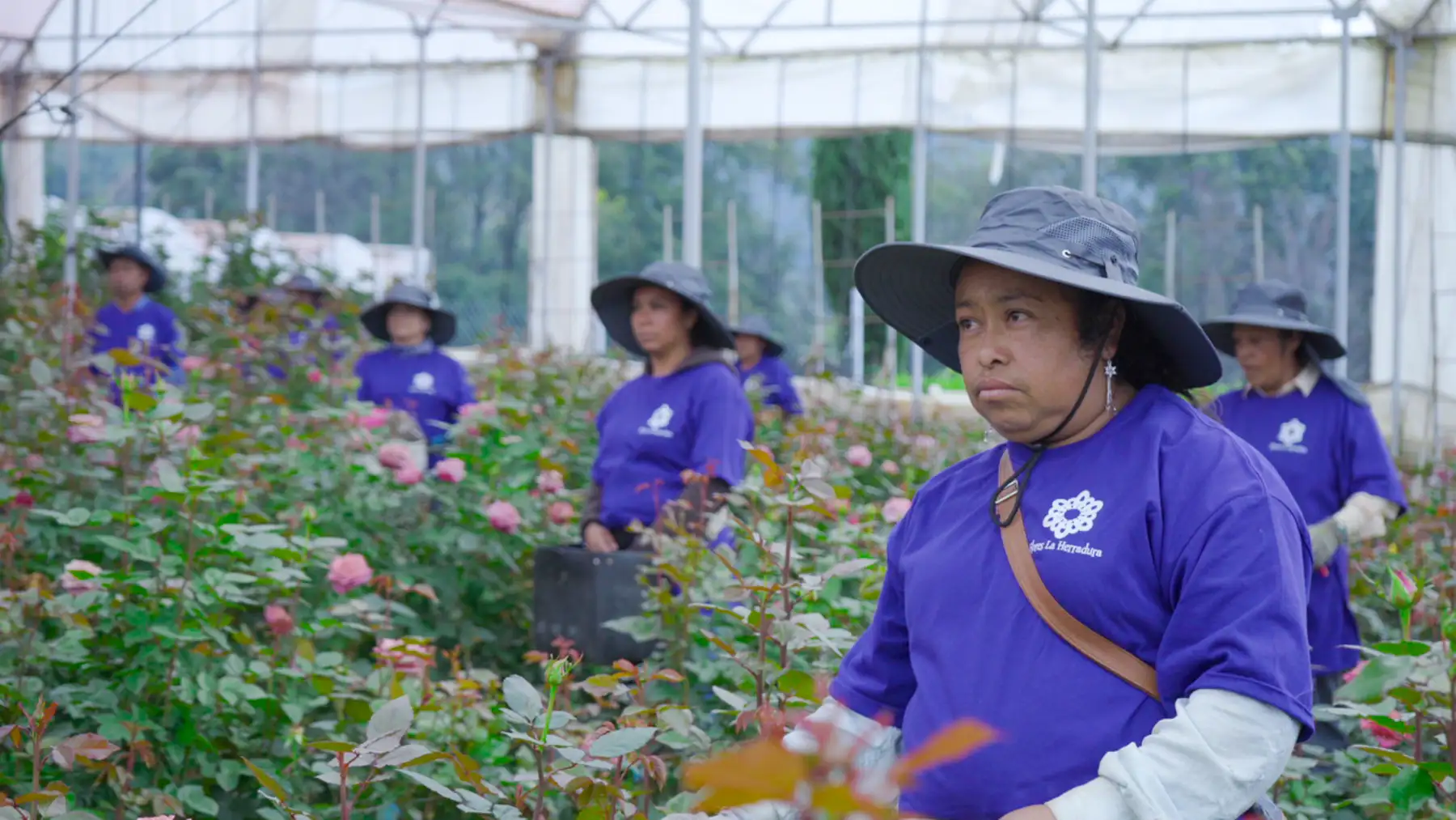 Arranca la Ruta de la Flor en el Estado de México